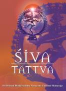 Veda gratis in italiano, libri veda da scaricare gratis, libri cultura vedica, testi vedici gratuiti