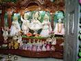 Vrindavana rupa sanatana, Narayana Maharaja
